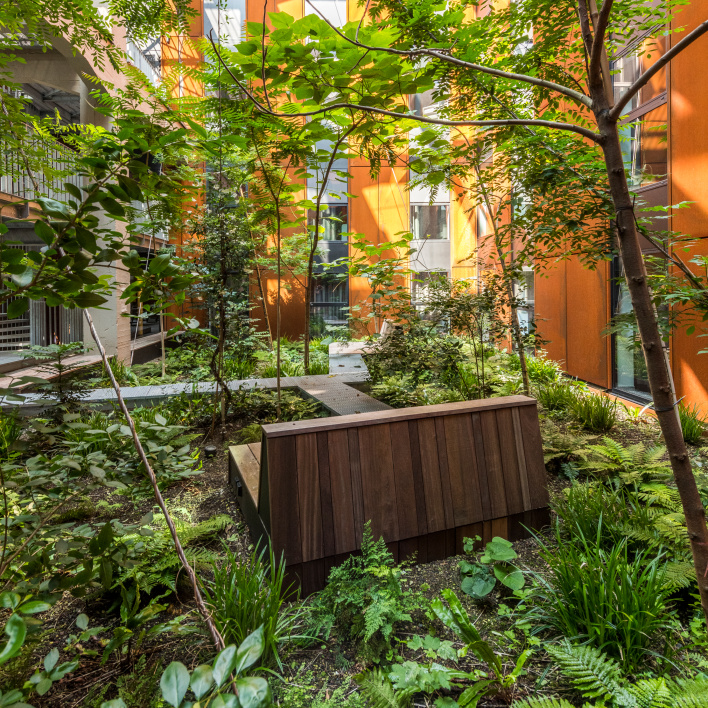 Sustainable garden at Backstage² Upkot – green student accommodation in Belgium.