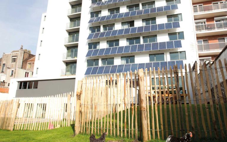 Facilities garden