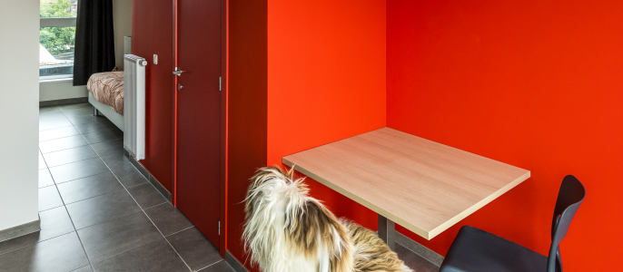 Kaai Upkot_Upstudio_4