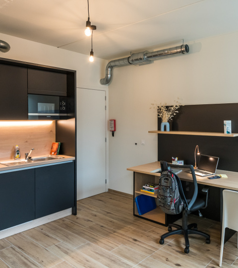 Buzz Upkot - Upstudio